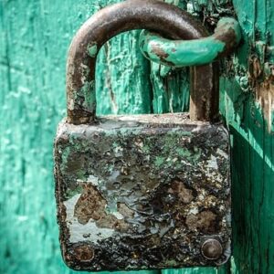 Versicherungsschutz und zusätzliche Leistungen in der Immobilienverwaltung